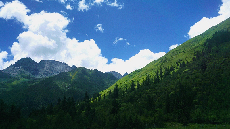 dsc01811_.jpg