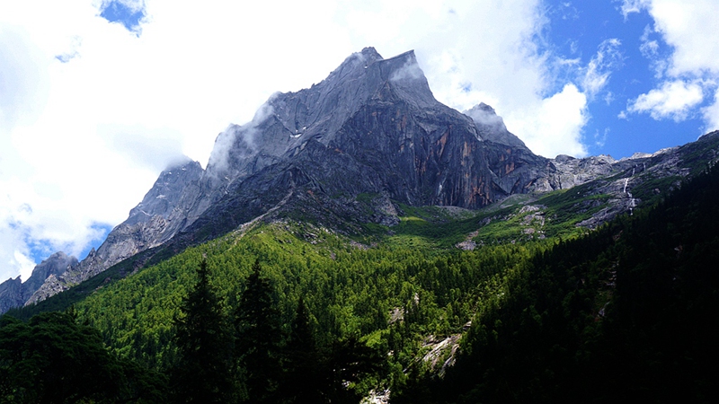 dsc01818_.jpg