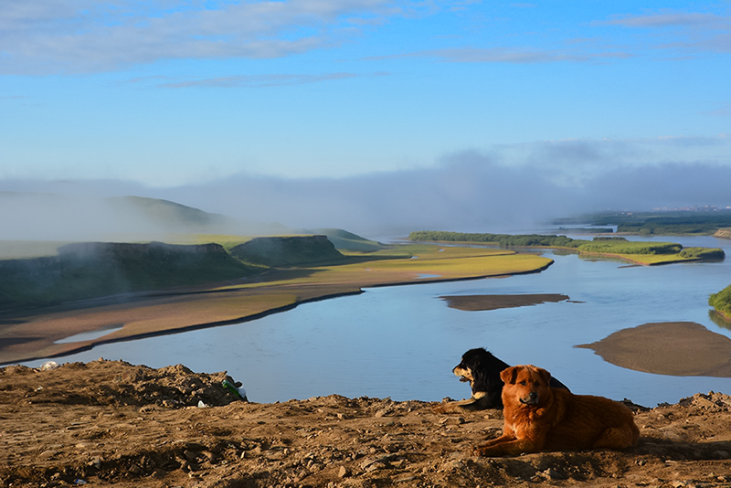 dsc_8854a.jpg