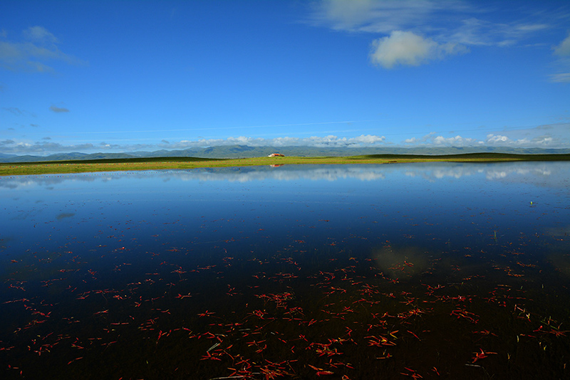dsc_8887a.jpg