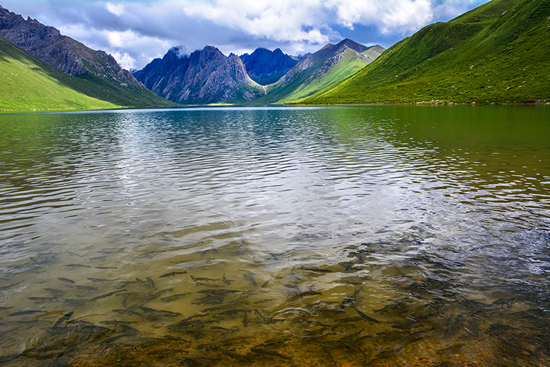 dsc_9248a.jpg
