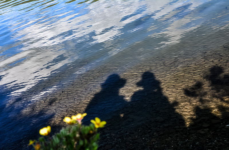 dsc_9409a.jpg