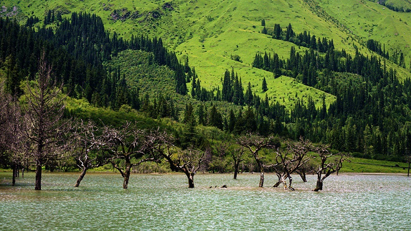 dsc01856_.jpg