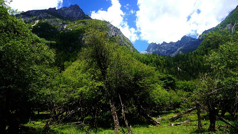 dsc01867_.jpg
