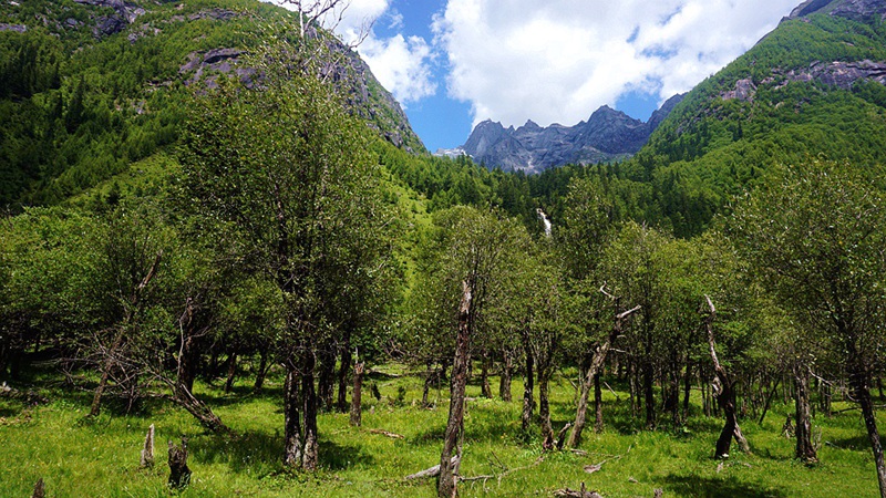 dsc01868_.jpg