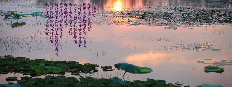 img_9077_副本_副本.jpg