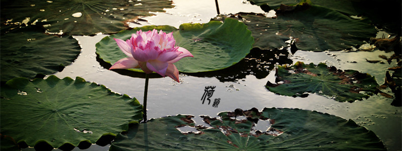 img_9205_副本1_副本.jpg