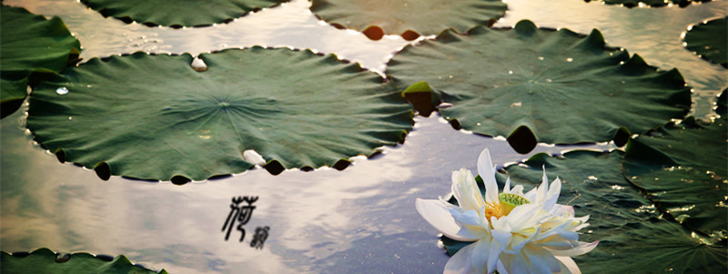 img_9278_副本_副本.jpg