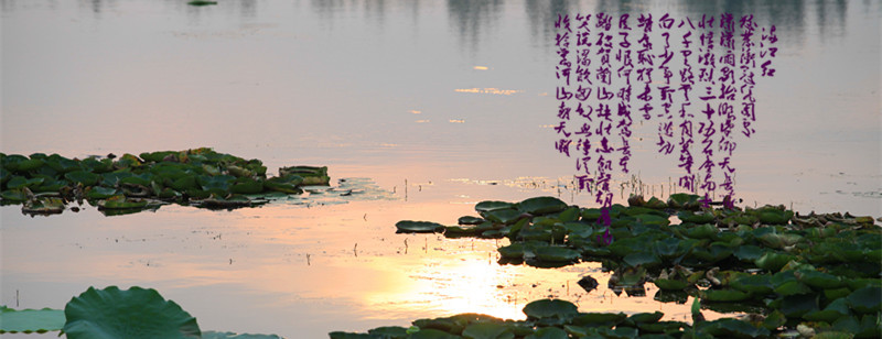 img_9137_副本_副本.jpg