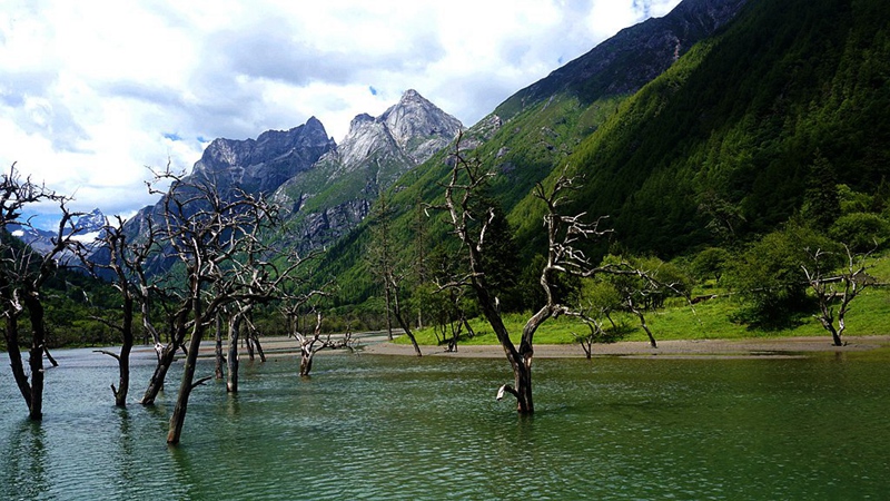dsc01938_.jpg