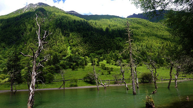 dsc01943_.jpg