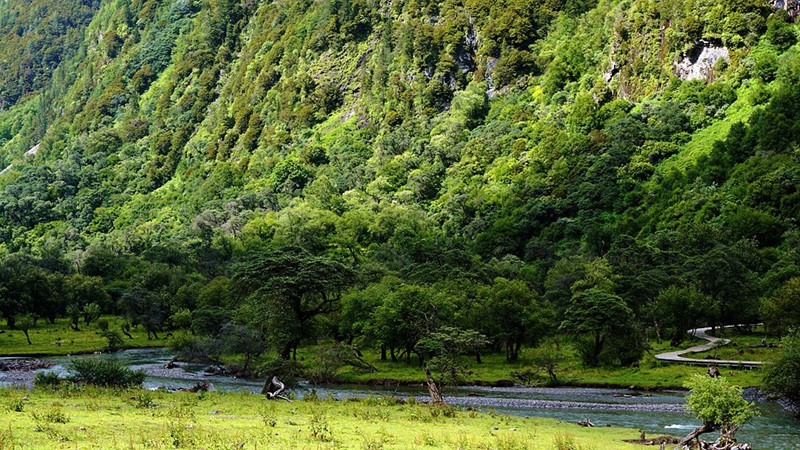 dsc01950_.jpg