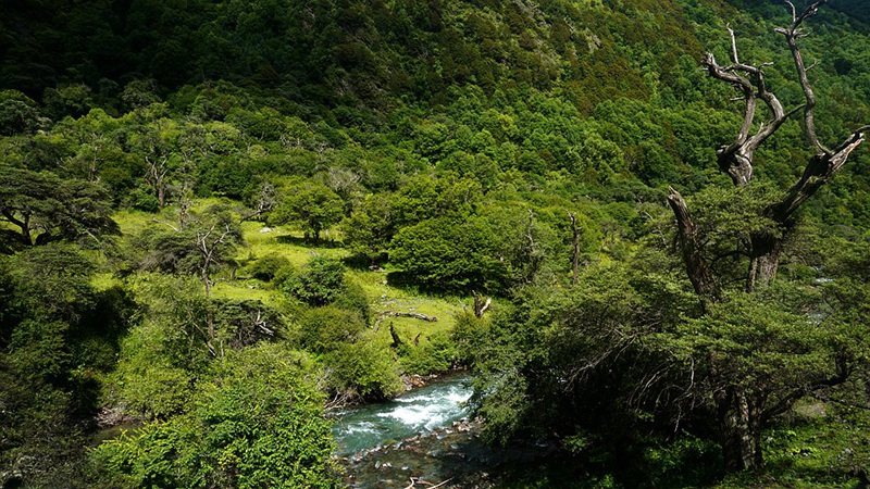 dsc01954_.jpg