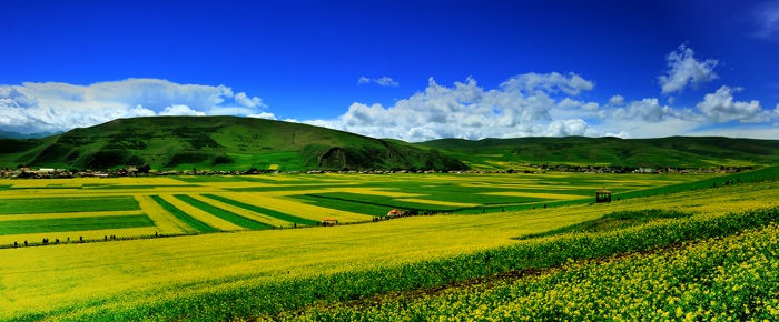 dsc_2514a.jpg
