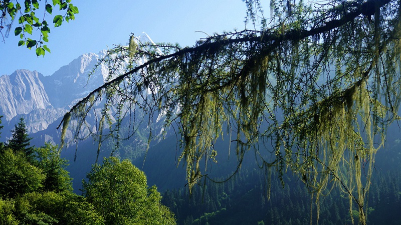 dsc01987_.jpg