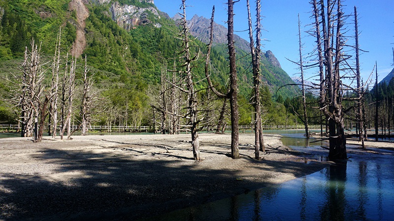 dsc02001_.jpg