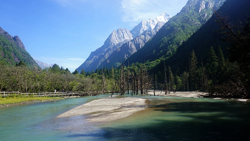dsc02003_.jpg