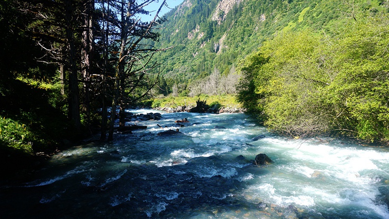 dsc02004_.jpg