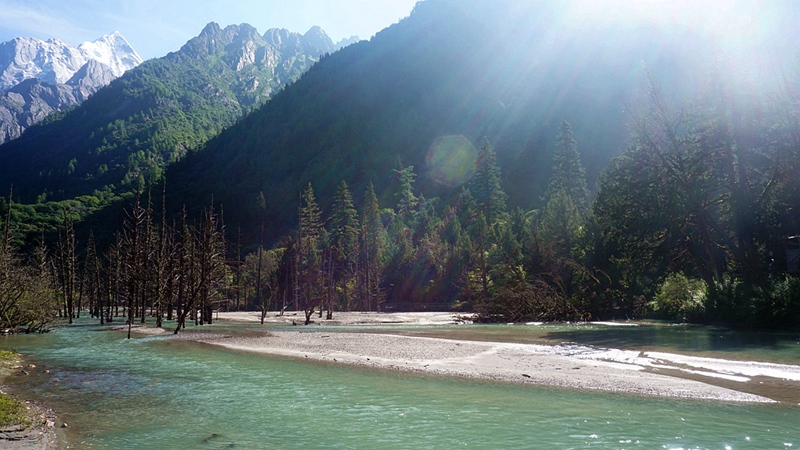 dsc02005_.jpg