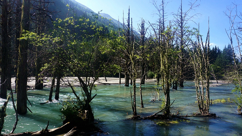 dsc02008_.jpg
