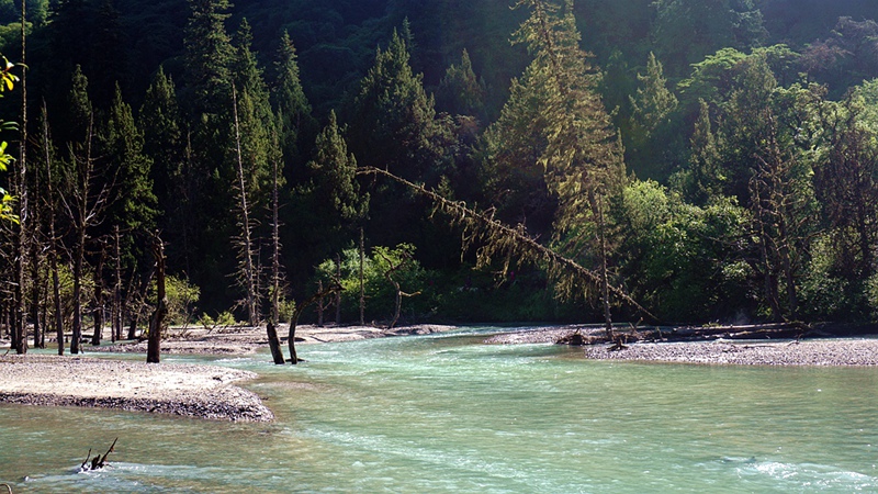 dsc02009_.jpg