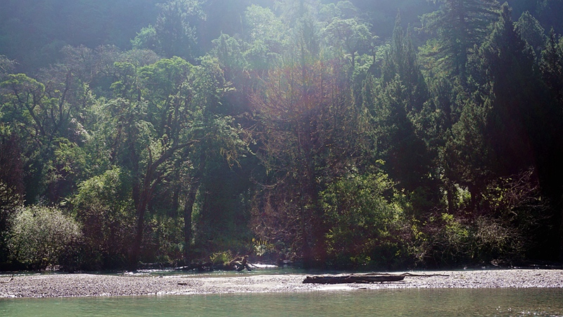 dsc02010_.jpg