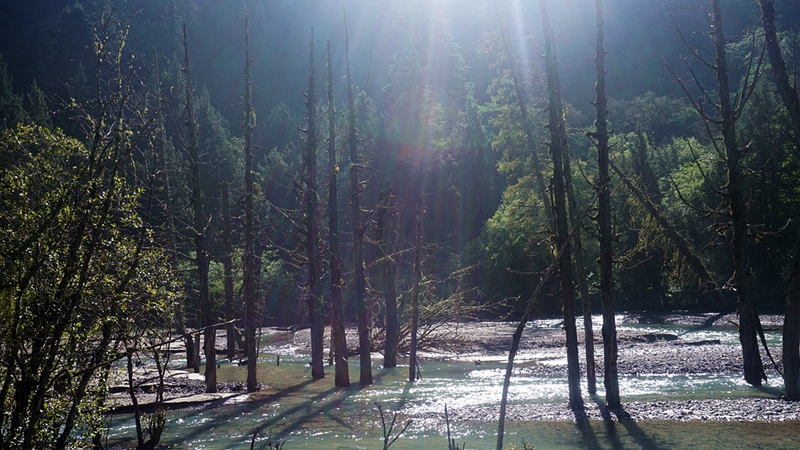 dsc02013_.jpg