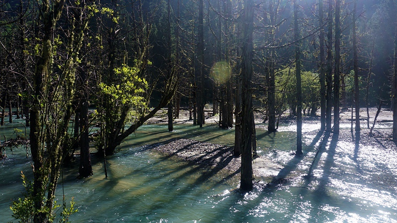 dsc02015_.jpg
