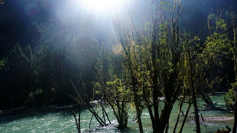 dsc02016_.jpg