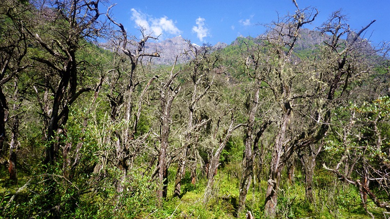 dsc02019_.jpg