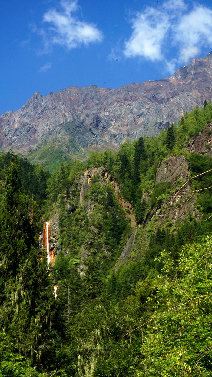 dsc02020_.jpg