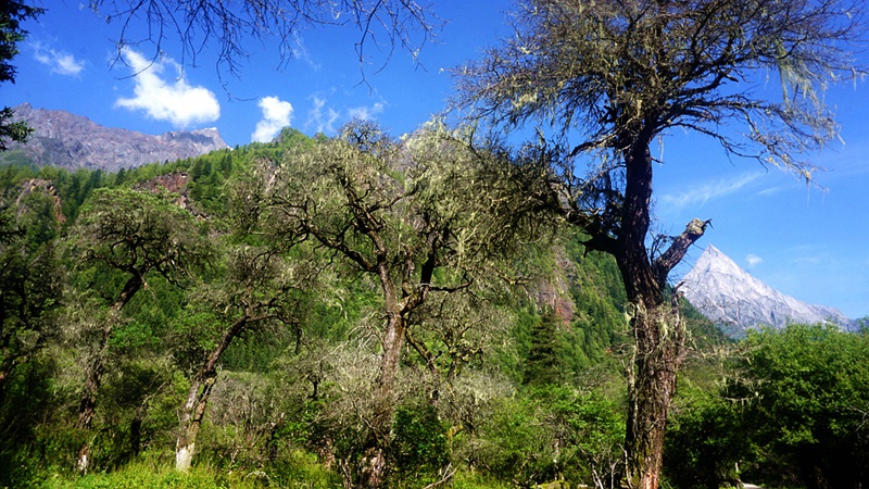 dsc02023_.jpg