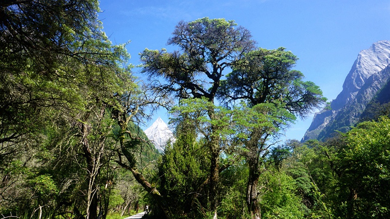dsc02025_.jpg