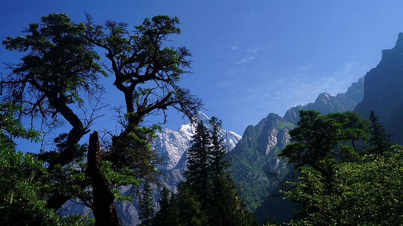 dsc01993_.jpg