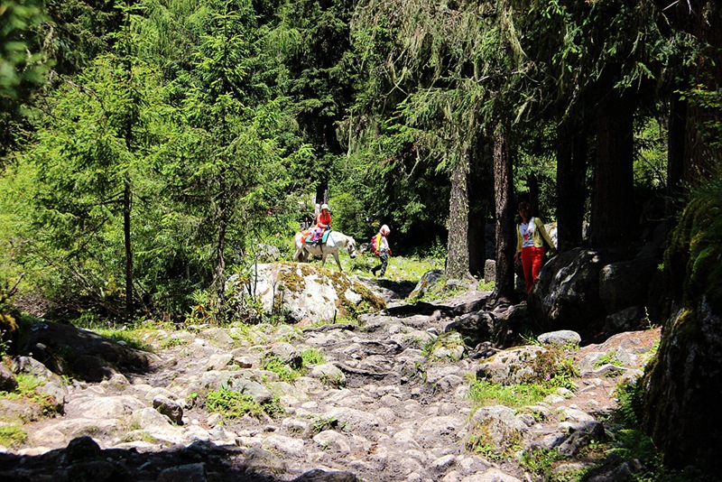 img_8613_.jpg