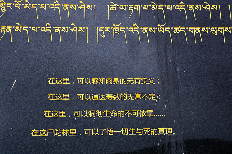 dsc_9628.jpg