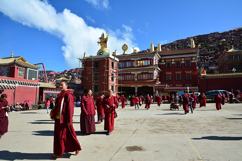 dsc_0141a.jpg
