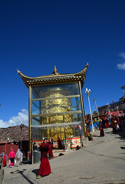 dsc_0134a.jpg