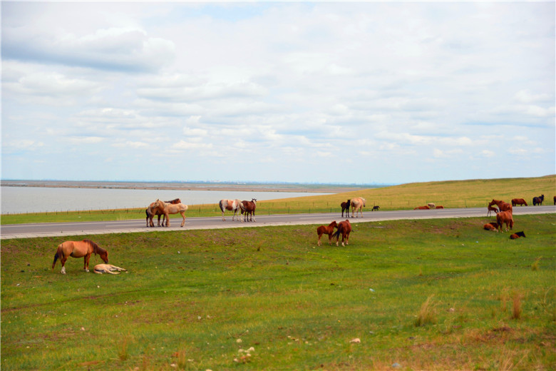 dsc_4012.jpg
