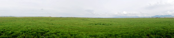 dsc05865_副本.jpg