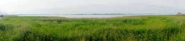 dsc05879_副本.jpg