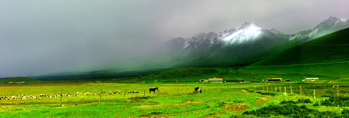 dsc_2461a.jpg