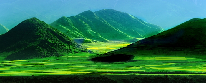 dsc_2688a.jpg