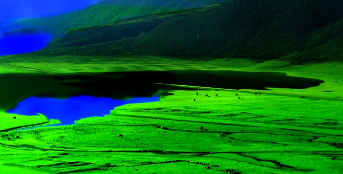 dsc_2693a.jpg
