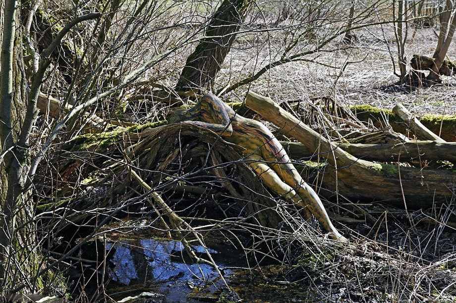 img7892476_n00000.jpg