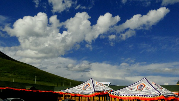dsc05843_副本.jpg
