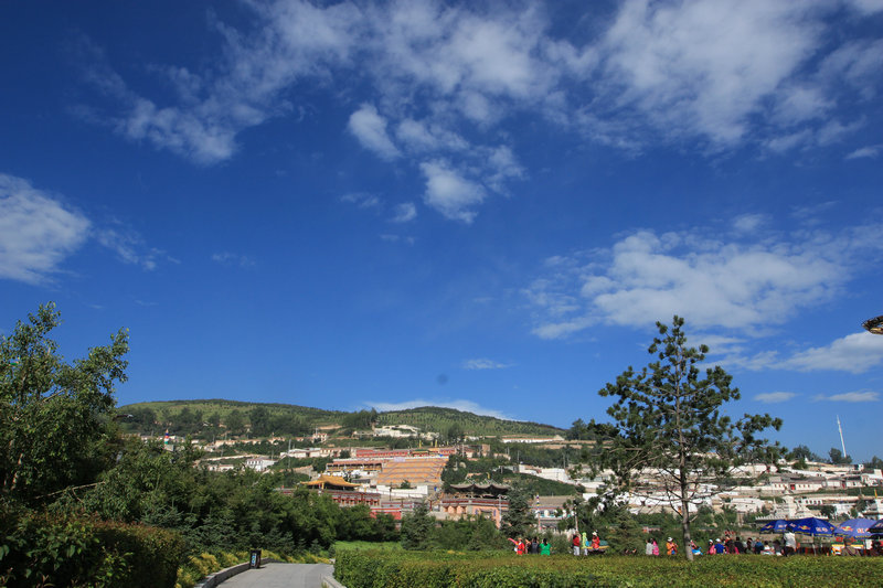 img_5586.jpg
