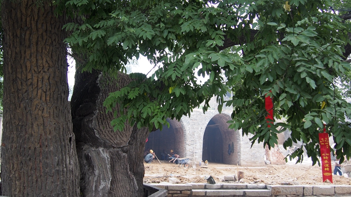 p1011727.jpg