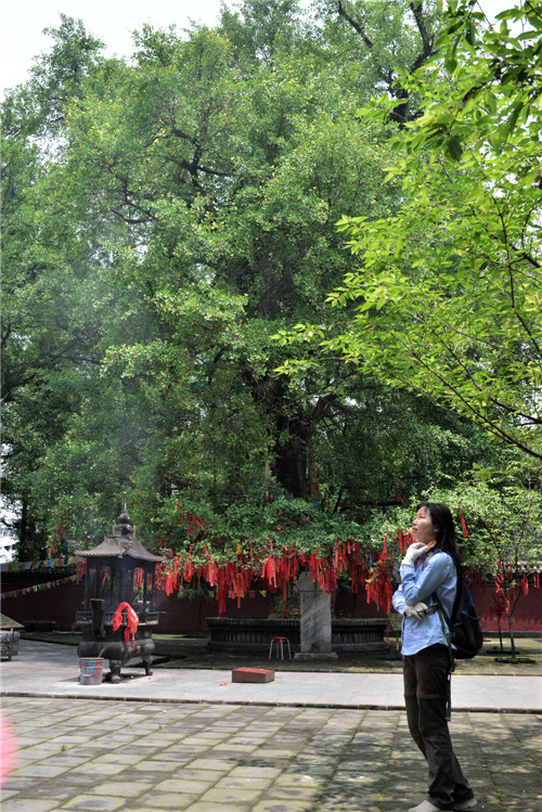 dsc_6185_副本.jpg