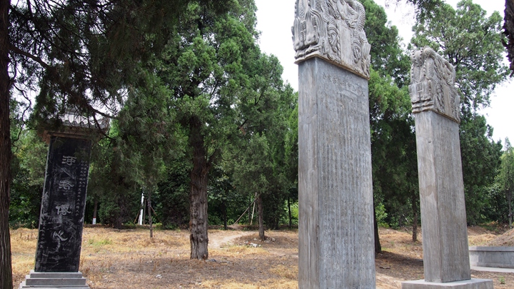 p1010160_.jpg